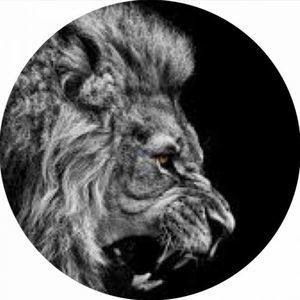 Meet your Posher, Jake